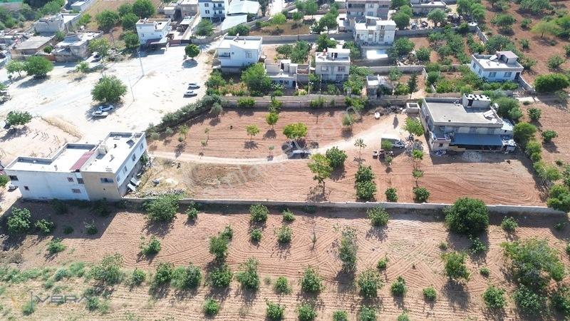 Serince Mahallesinde 4.203 M² Arsa İçerisinde 3 Mustakil Ev — fotoğraf 7