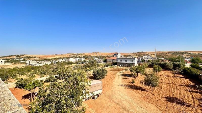 Serince Mahallesinde 4.203 M² Arsa İçerisinde 3 Mustakil Ev — fotoğraf 26