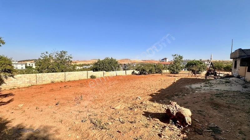 Serince Mahallesinde 4.203 M² Arsa İçerisinde 3 Mustakil Ev — fotoğraf 27
