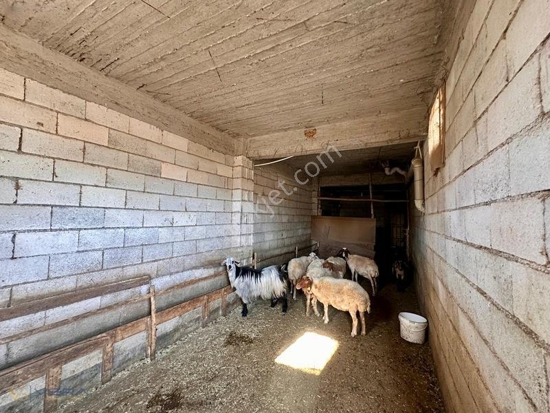 Serince Mahallesinde 4.203 M² Arsa İçerisinde 3 Mustakil Ev — fotoğraf 28