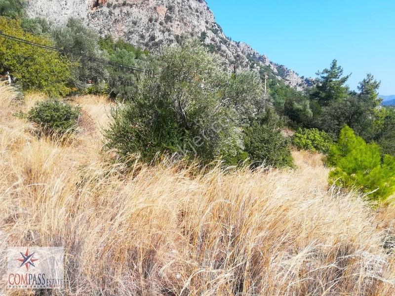 Tek Yetkili! Marmaris Turunç, 3.800 M2 Tam Deniz Manzaralı Arsa — fotoğraf 5
