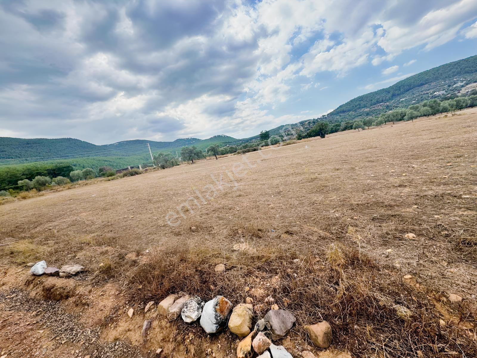 Milas Çiftlikte 6.154 M² Yola Cepheli Satılık Yatırımlık Tarla — fotoğraf 3