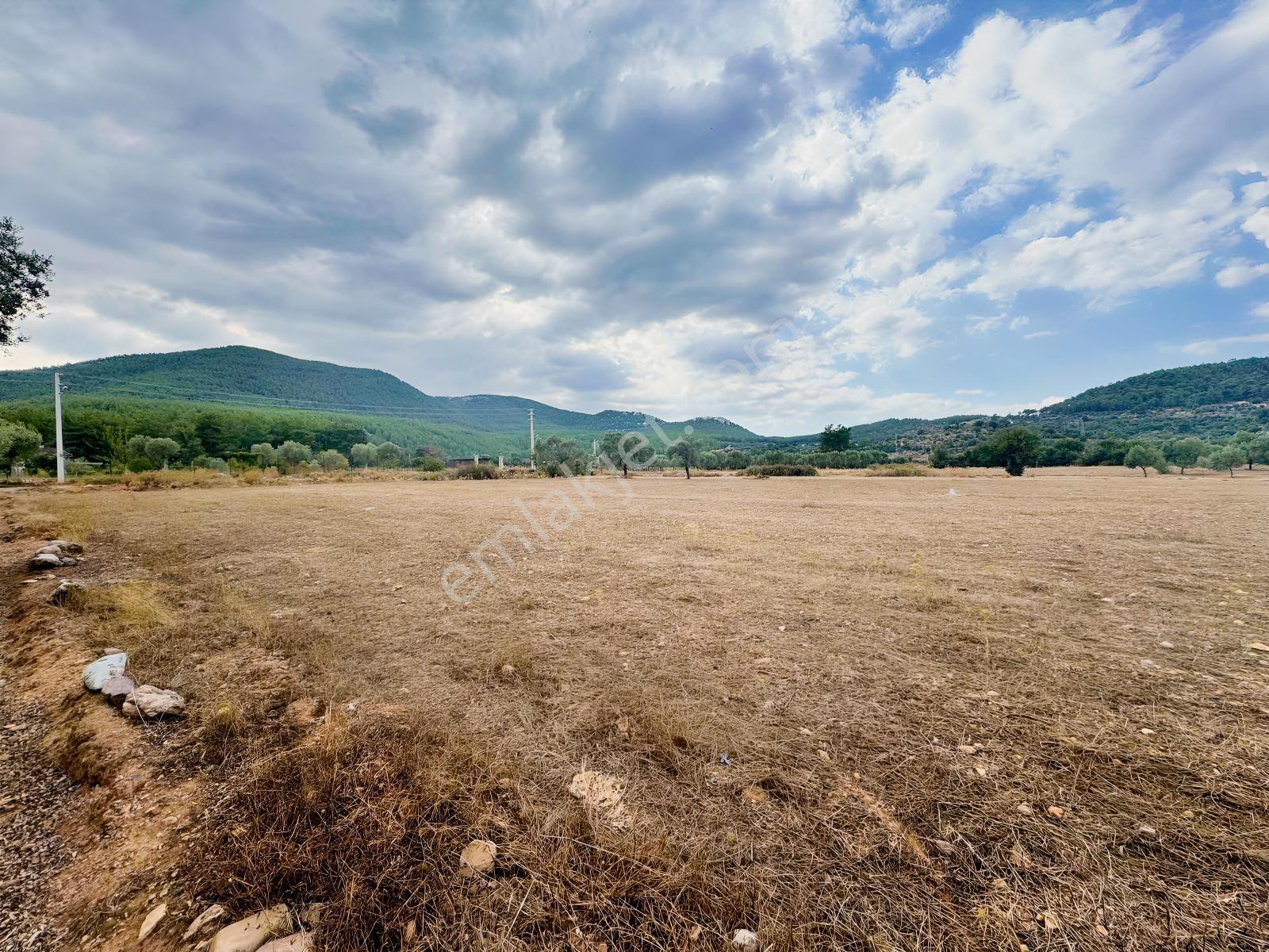 Milas Çiftlikte 6.154 M² Yola Cepheli Satılık Yatırımlık Tarla — fotoğraf 5