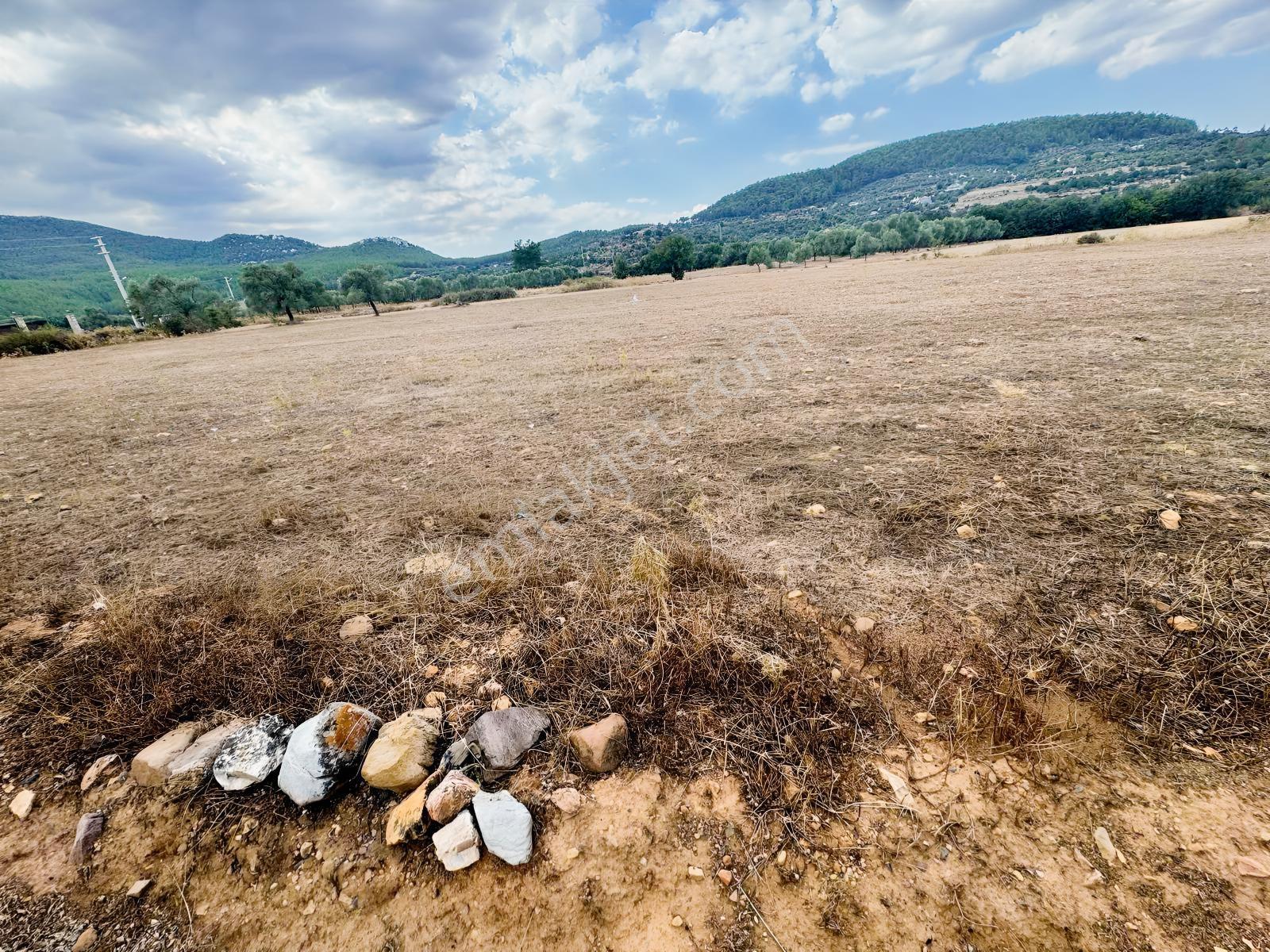 Milas Çiftlikte 6.154 M² Yola Cepheli Satılık Yatırımlık Tarla — fotoğraf 6