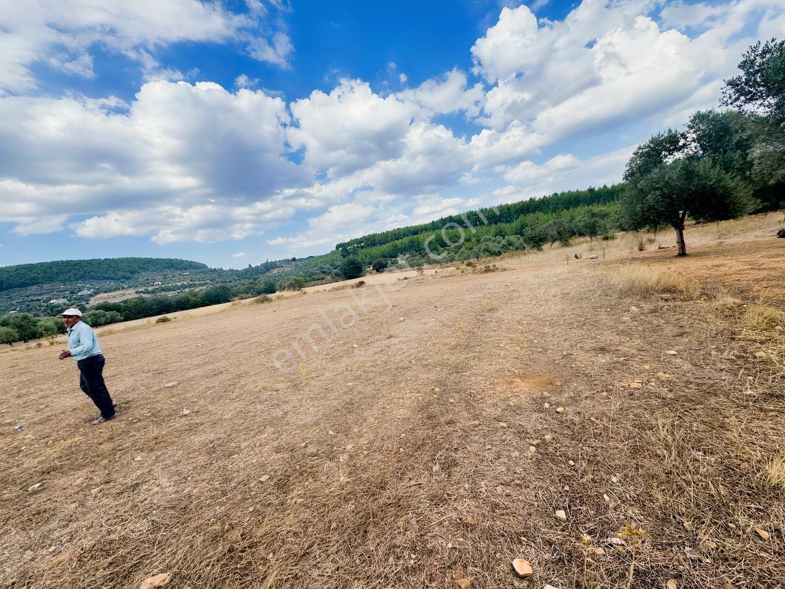 Milas Çiftlikte 6.154 M² Yola Cepheli Satılık Yatırımlık Tarla — fotoğraf 8