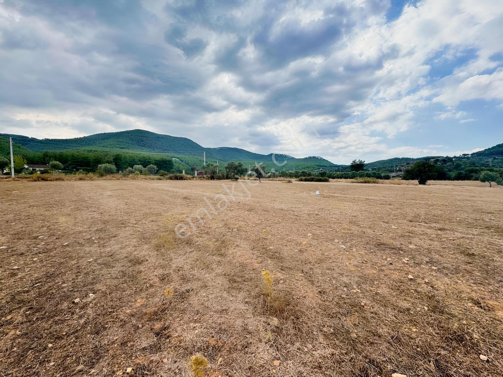 Milas Çiftlikte 6.154 M² Yola Cepheli Satılık Yatırımlık Tarla — fotoğraf 9