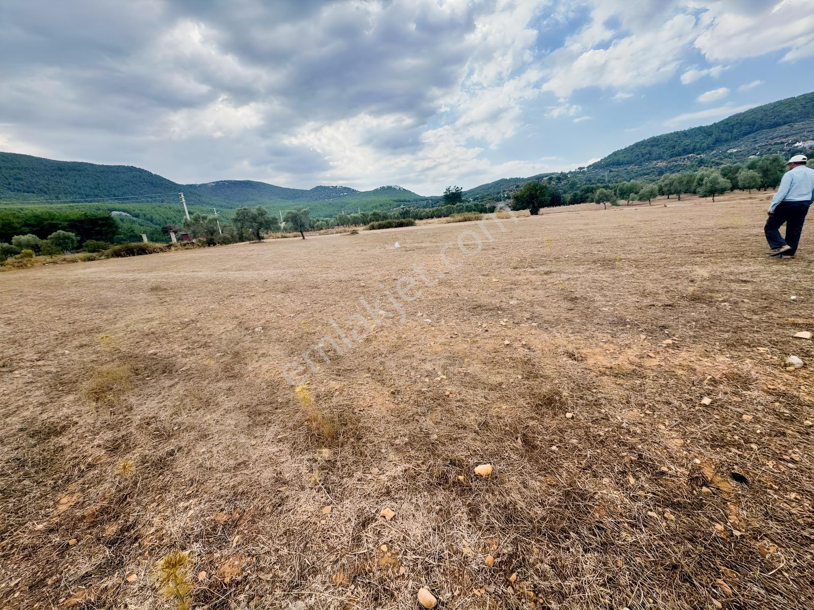 Milas Çiftlikte 6.154 M² Yola Cepheli Satılık Yatırımlık Tarla — fotoğraf 10
