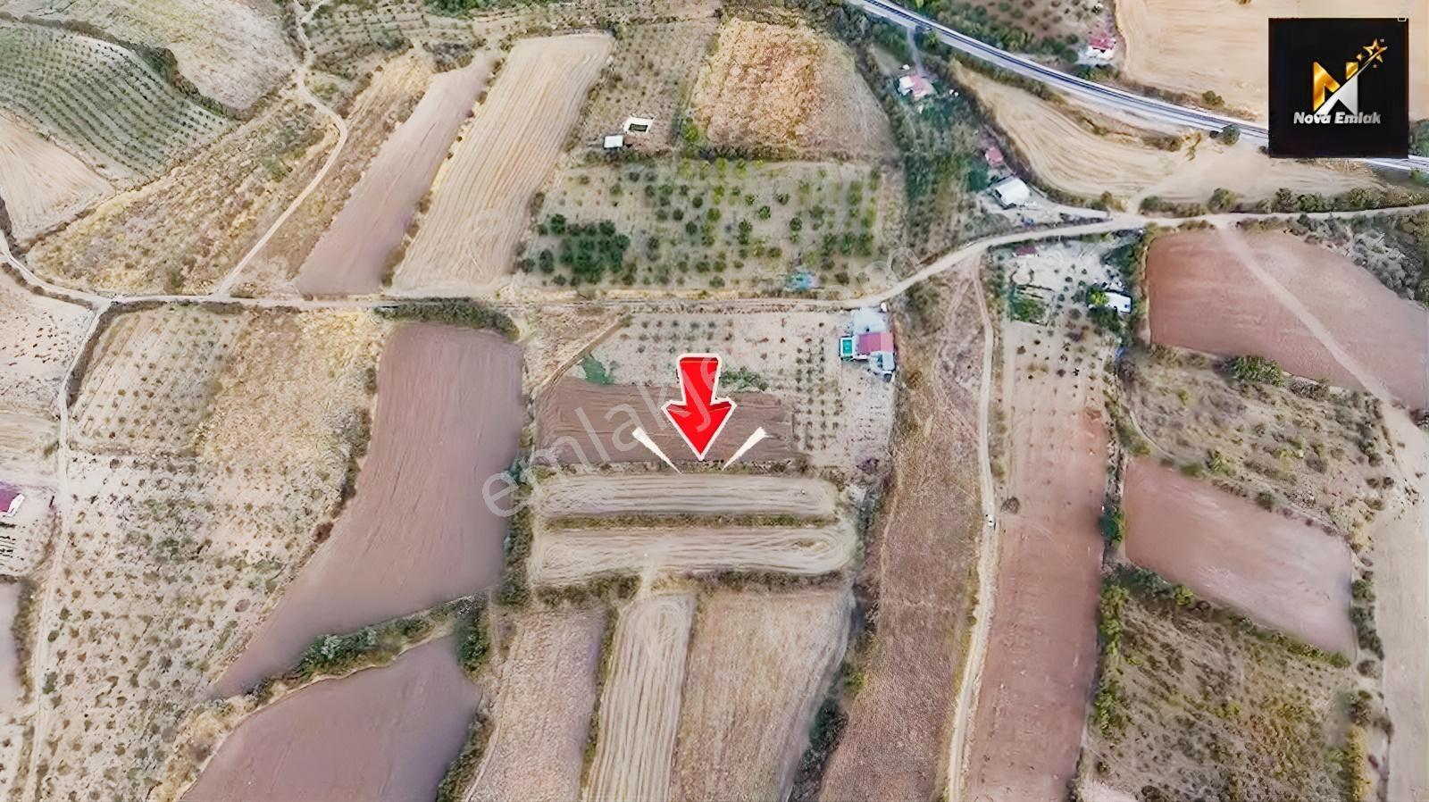 Baskil Yolunda Satılık Bahçe Yapımına Uygun Tarla — fotoğraf 2