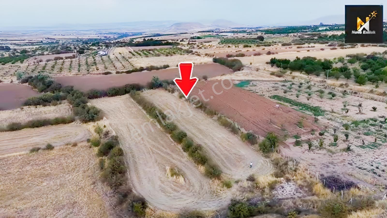 Baskil Yolunda Satılık Bahçe Yapımına Uygun Tarla — fotoğraf 3