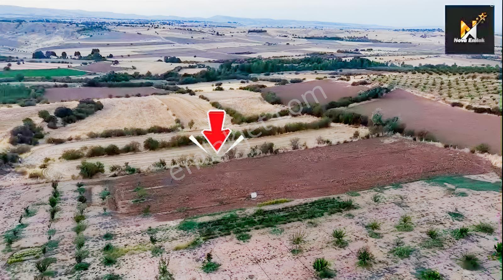 Baskil Yolunda Satılık Bahçe Yapımına Uygun Tarla — fotoğraf 5
