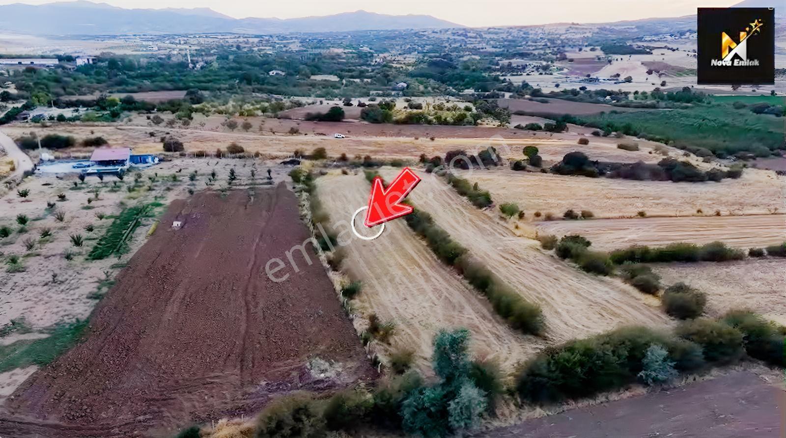 Baskil Yolunda Satılık Bahçe Yapımına Uygun Tarla — fotoğraf 6