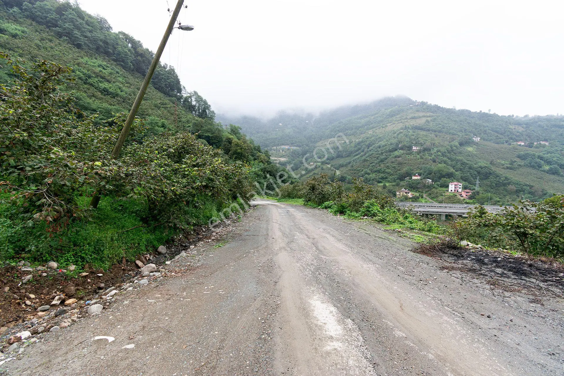 Ordu Kurtulmuş Mah. 5.172 M² Satılık Fındık Bahçesi Arazi Yerleşik Alanda — fotoğraf 3