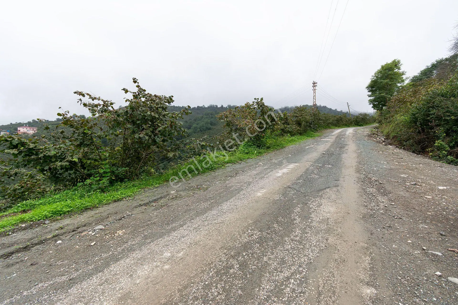 Ordu Kurtulmuş Mah. 5.172 M² Satılık Fındık Bahçesi Arazi Yerleşik Alanda — fotoğraf 5