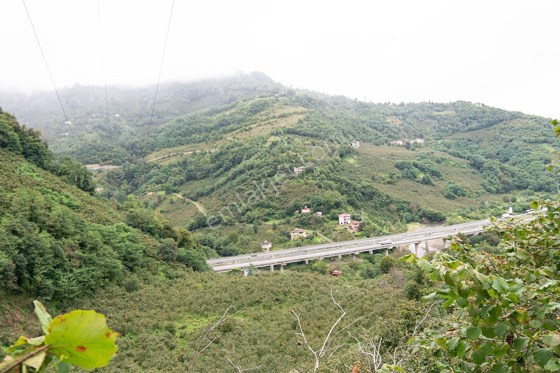 Ordu Kurtulmuş Mah. 5.172 M² Satılık Fındık Bahçesi Arazi Yerleşik Alanda — fotoğraf 19