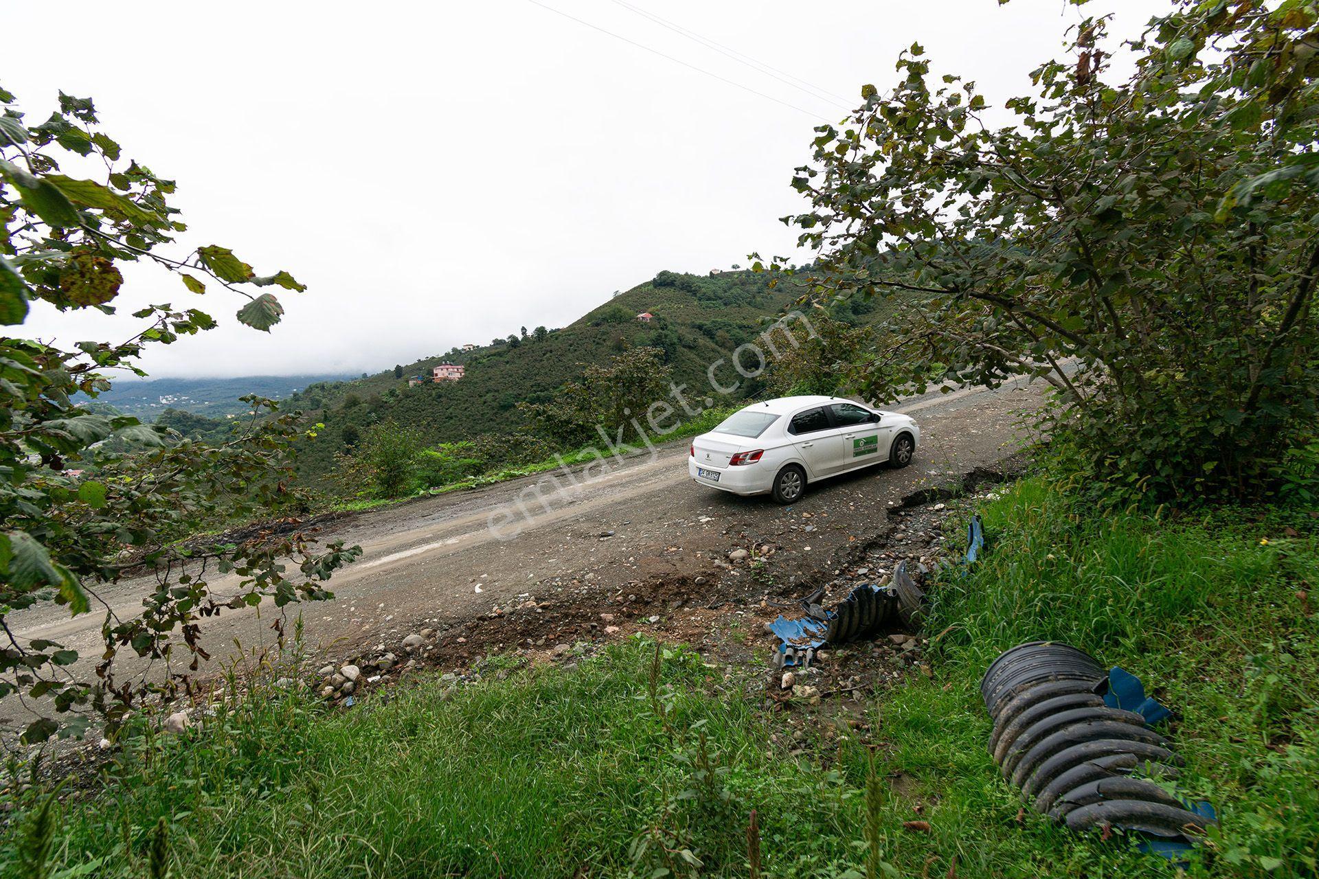 Ordu Kurtulmuş Mah. 5.172 M² Satılık Fındık Bahçesi Arazi Yerleşik Alanda — fotoğraf 26