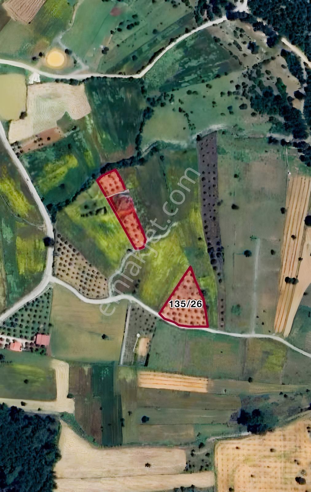 Milas Çiftlikte Yola Cepheli Verimli Tarla 2.877 M²