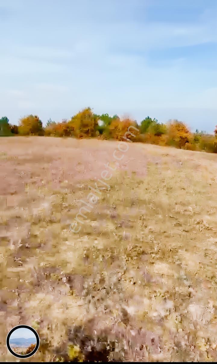 Kırsal Turizm Amaçlı Hobi Evleri Yapılabilecek Satılık Arazi — fotoğraf 3