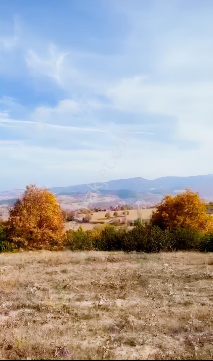 Kırsal Turizm Amaçlı Hobi Evleri Yapılabilecek Satılık Arazi — fotoğraf 4
