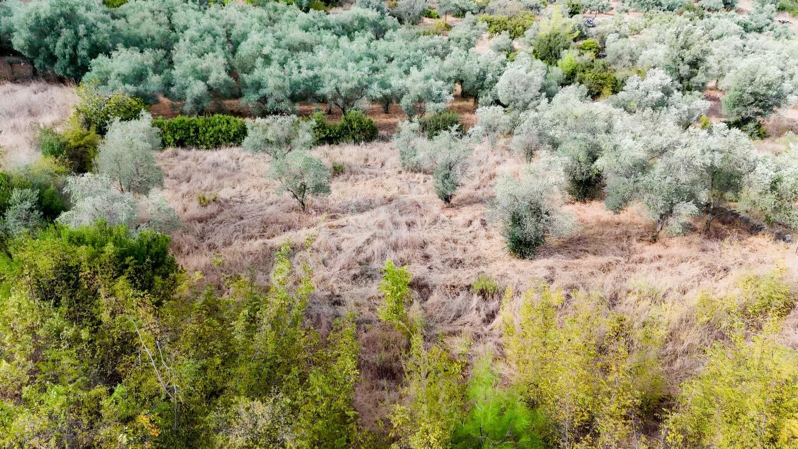 Akyakaya 5 Dk | Denize Yürüme Mesafesinde 894 M² Arsa — fotoğraf 3