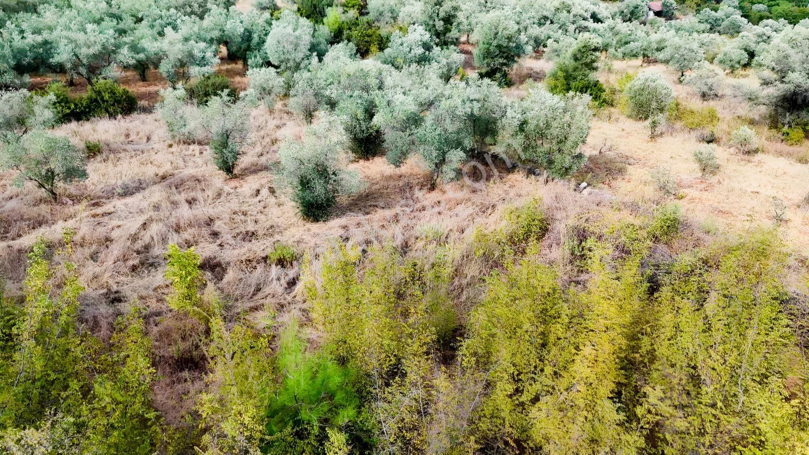 Akyakaya 5 Dk | Denize Yürüme Mesafesinde 894 M² Arsa — fotoğraf 4