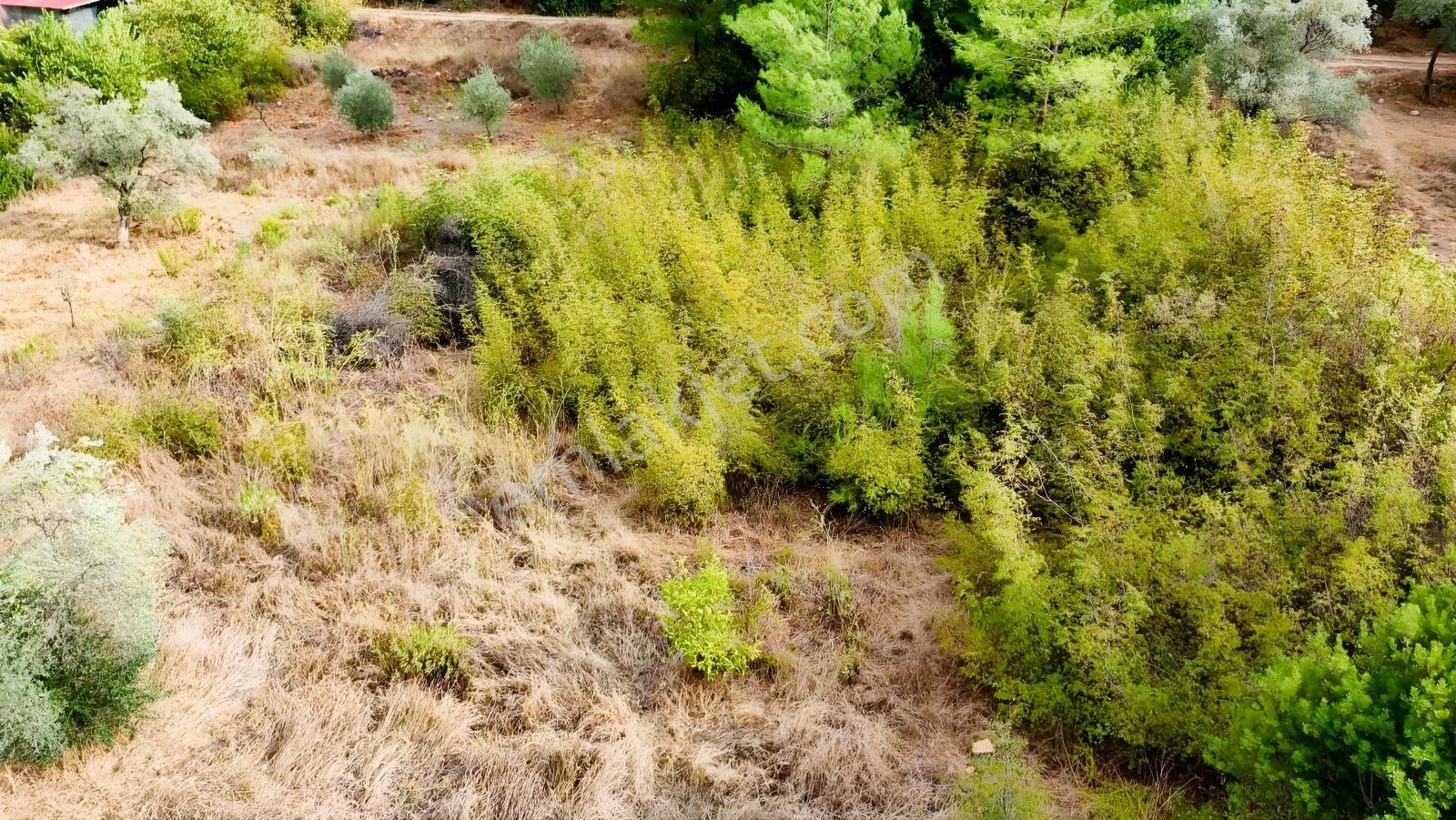 Akyakaya 5 Dk | Denize Yürüme Mesafesinde 894 M² Arsa — fotoğraf 5