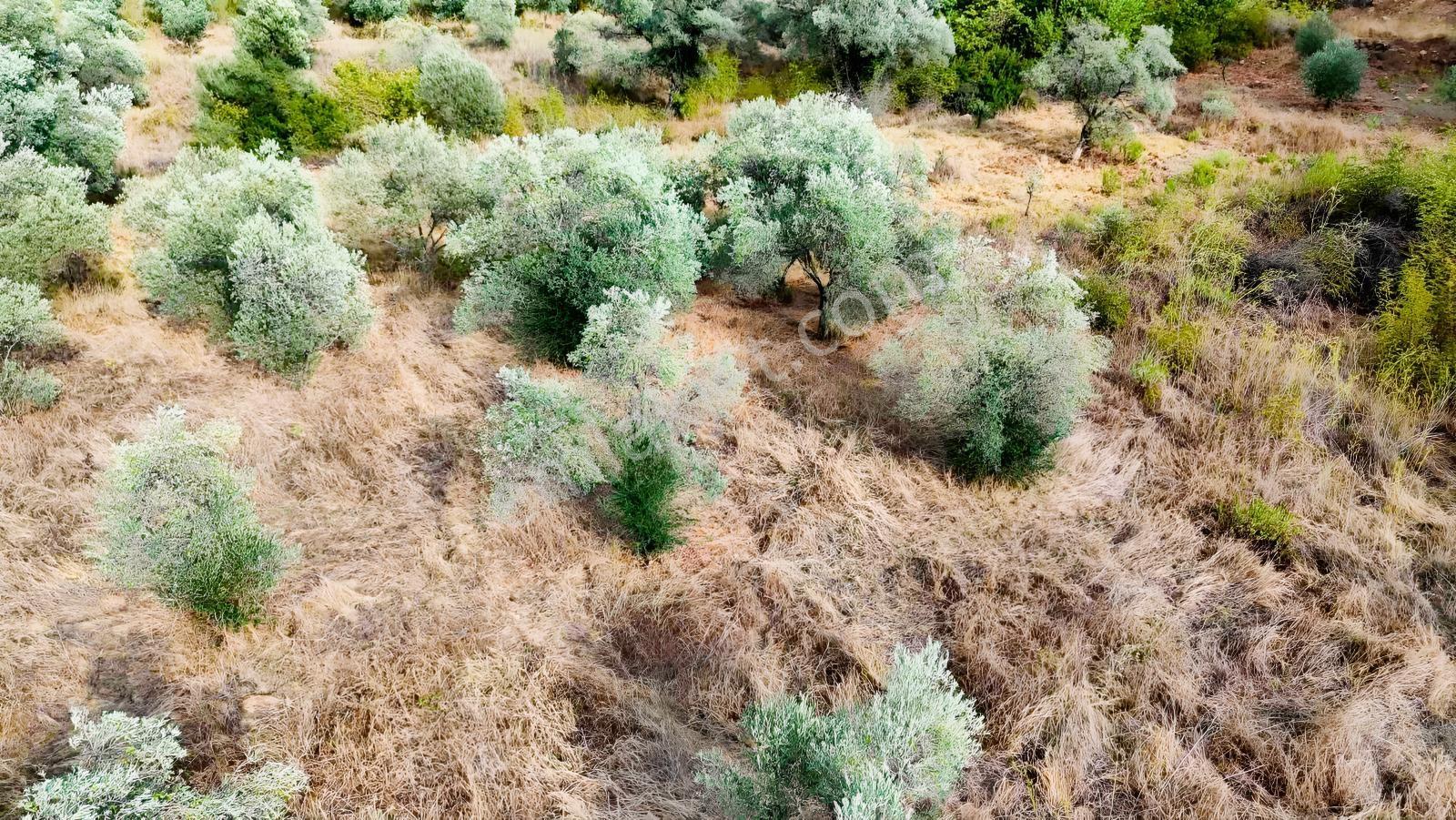 Akyakaya 5 Dk | Denize Yürüme Mesafesinde 894 M² Arsa — fotoğraf 6