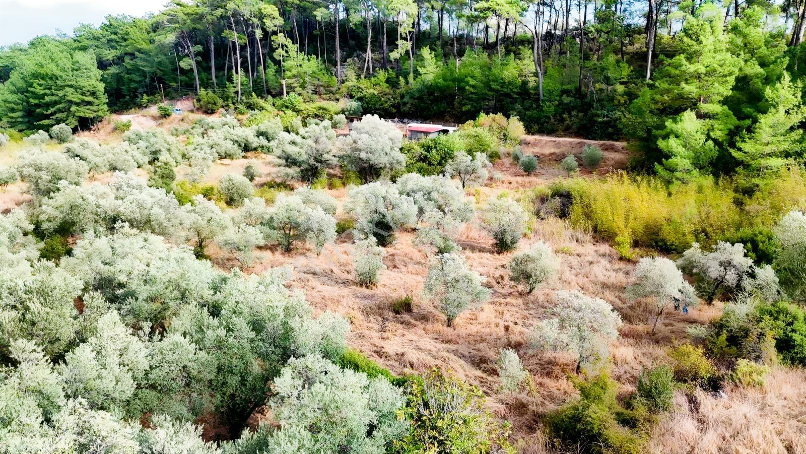 Akyakaya 5 Dk | Denize Yürüme Mesafesinde 894 M² Arsa — fotoğraf 7