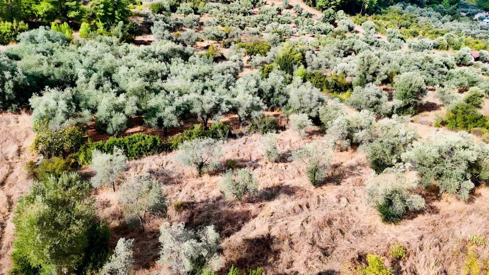 Akyakaya 5 Dk | Denize Yürüme Mesafesinde 894 M² Arsa — fotoğraf 9