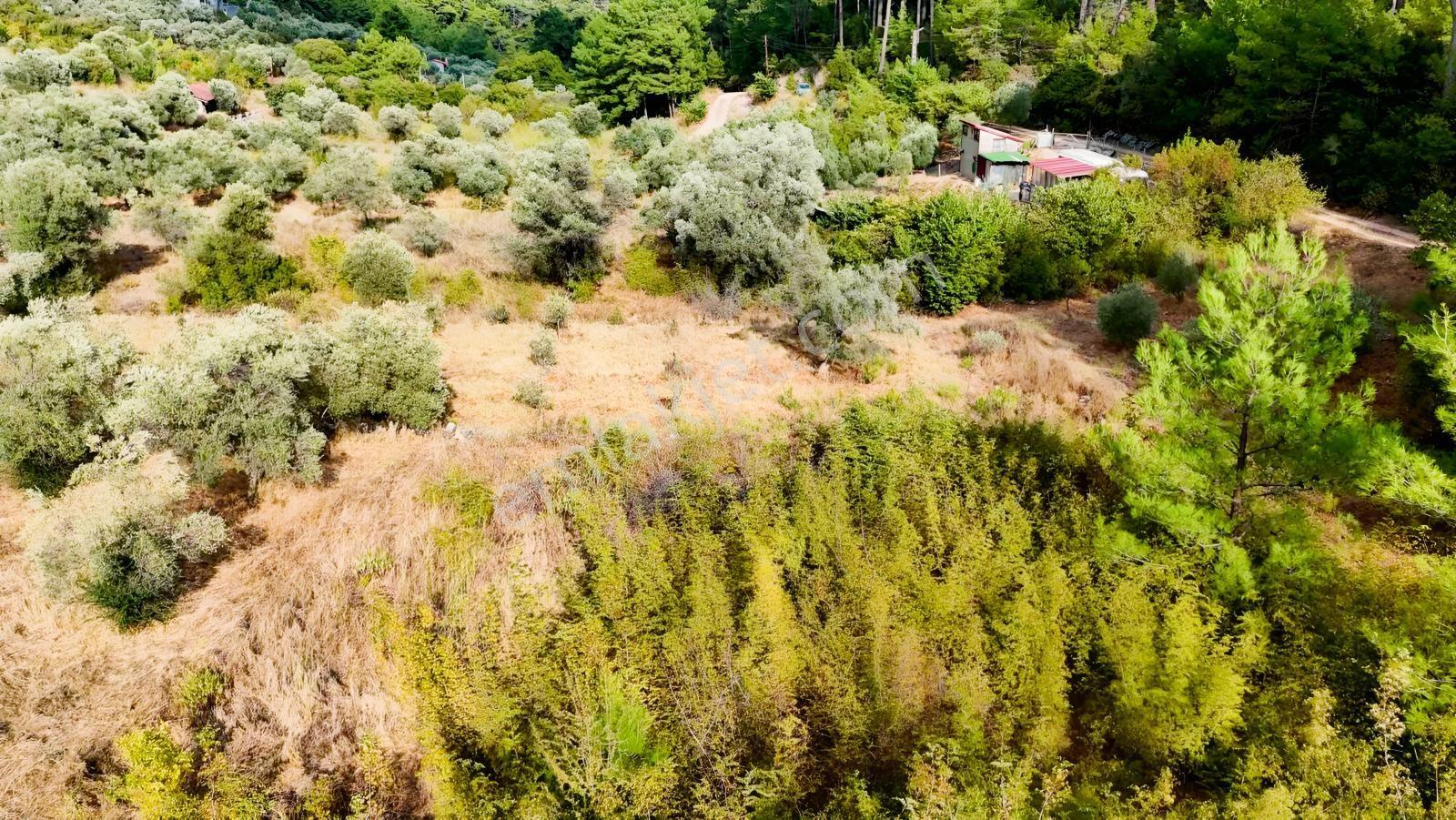 Akyakaya 5 Dk | Denize Yürüme Mesafesinde 894 M² Arsa — fotoğraf 10