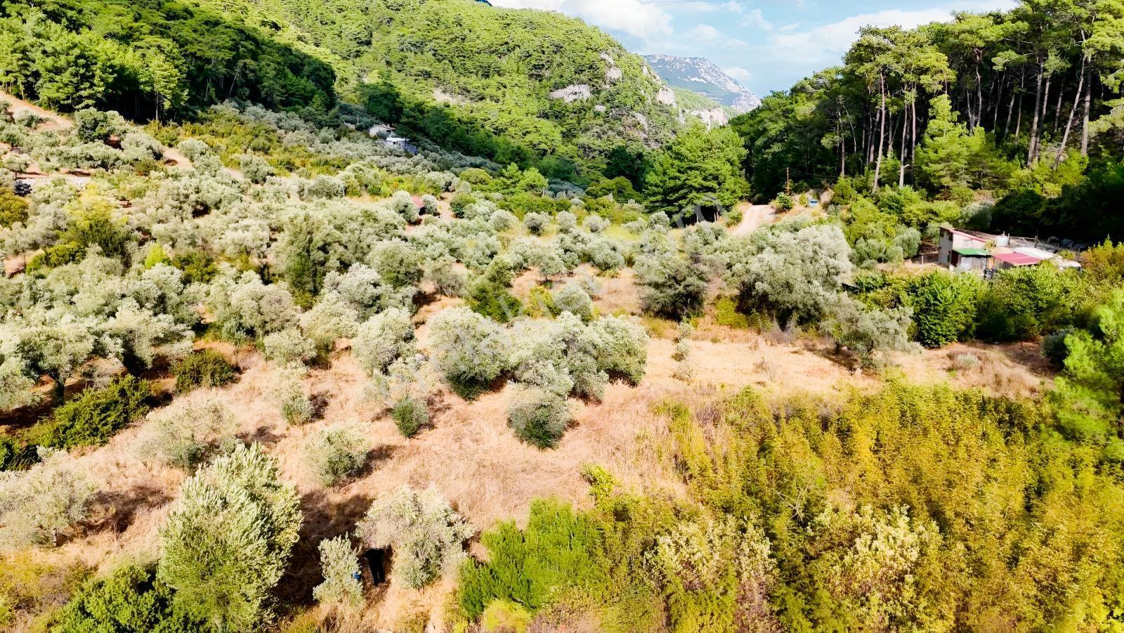 Akyakaya 5 Dk | Denize Yürüme Mesafesinde 894 M² Arsa — fotoğraf 11