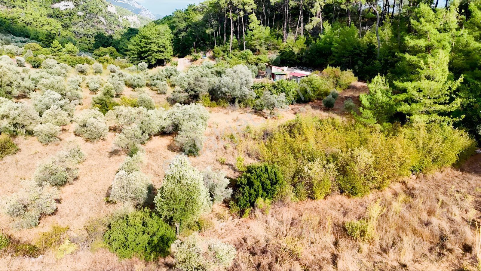 Akyakaya 5 Dk | Denize Yürüme Mesafesinde 894 M² Arsa — fotoğraf 12
