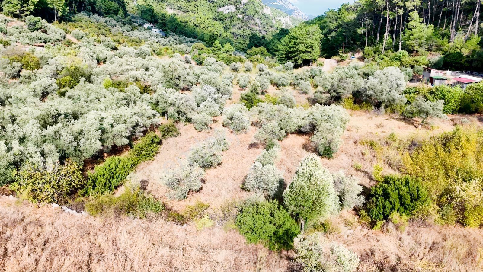 Akyakaya 5 Dk | Denize Yürüme Mesafesinde 894 M² Arsa — fotoğraf 13