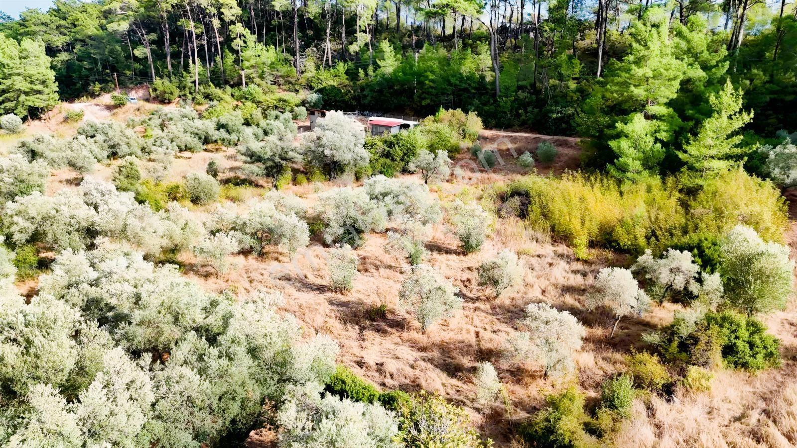 Akyakaya 5 Dk | Denize Yürüme Mesafesinde 894 M² Arsa — fotoğraf 14