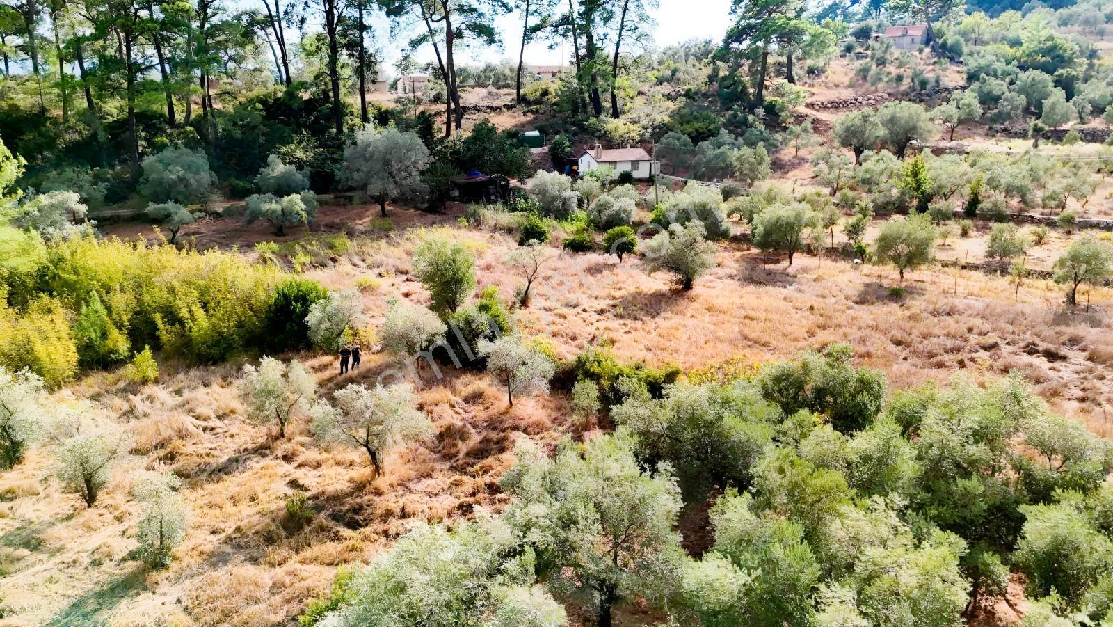 Akyakaya 5 Dk | Denize Yürüme Mesafesinde 894 M² Arsa — fotoğraf 15