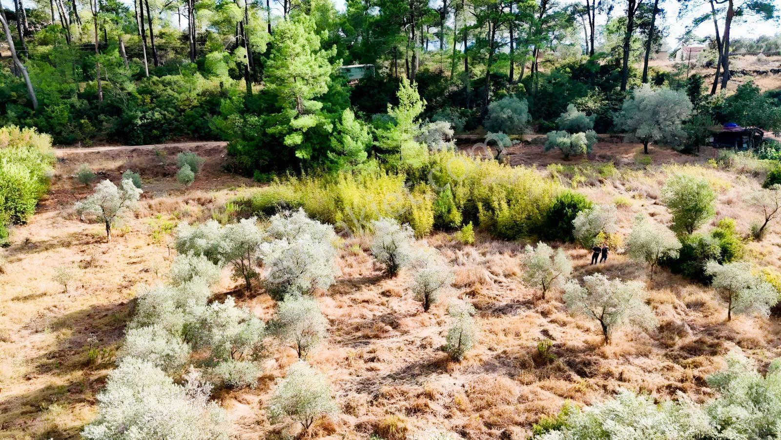 Akyakaya 5 Dk | Denize Yürüme Mesafesinde 894 M² Arsa — fotoğraf 16
