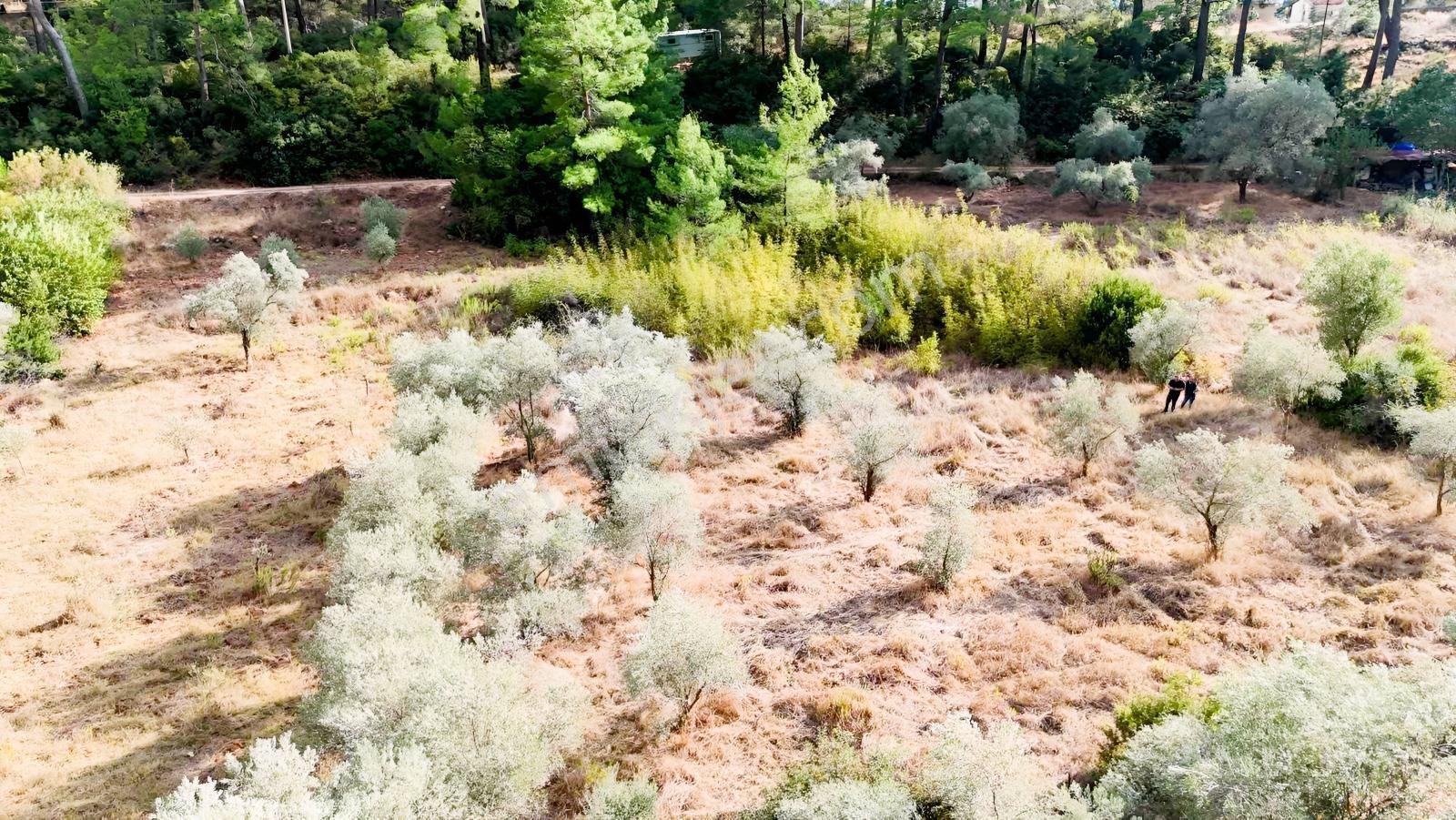 Akyakaya 5 Dk | Denize Yürüme Mesafesinde 894 M² Arsa — fotoğraf 17