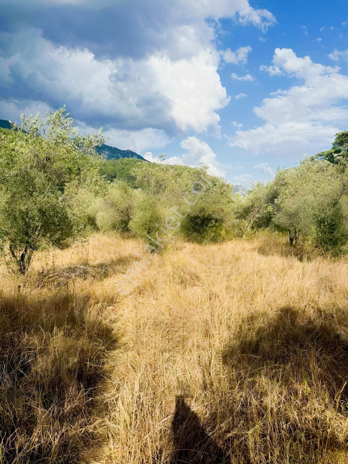 Akyakaya 5 Dk | Denize Yürüme Mesafesinde 894 M² Arsa — fotoğraf 22
