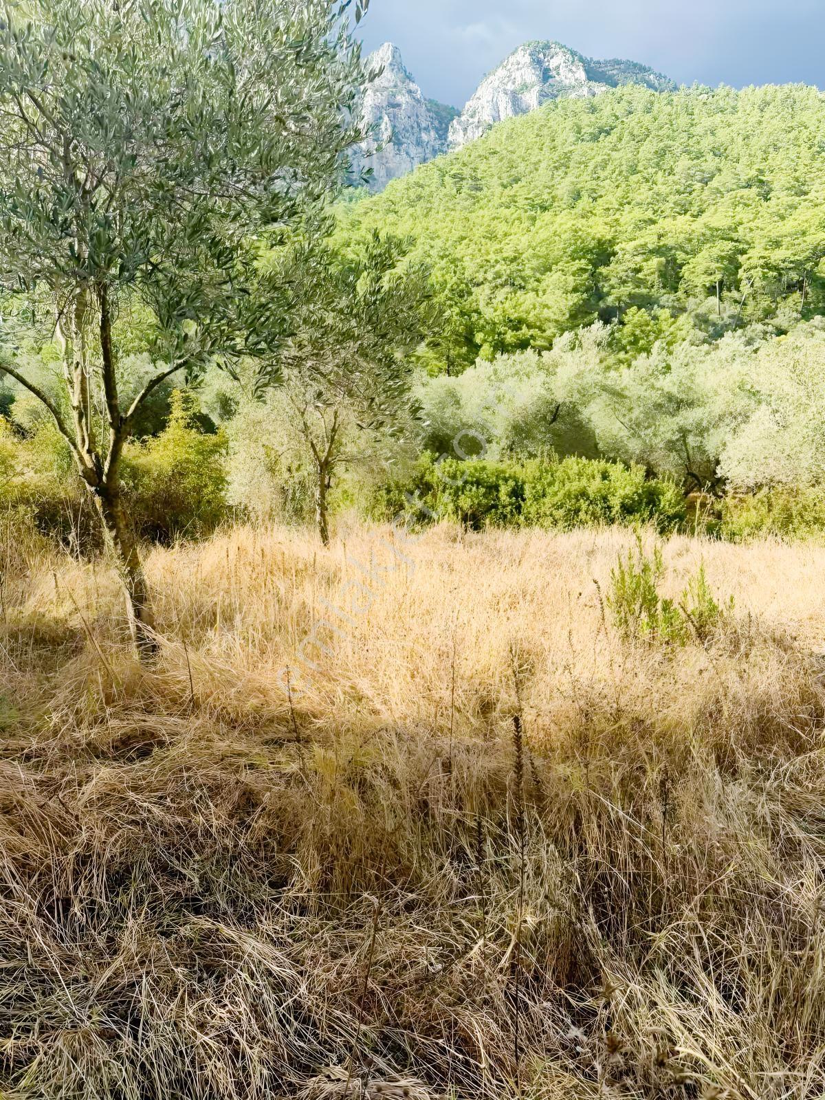 Akyakaya 5 Dk | Denize Yürüme Mesafesinde 894 M² Arsa — fotoğraf 24