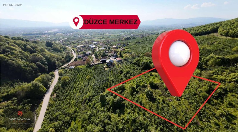 Şehir Manzaralı Düzce Muncurluda 2.630m2 Yatırımlık Hobi Bahçesi — fotoğraf 2