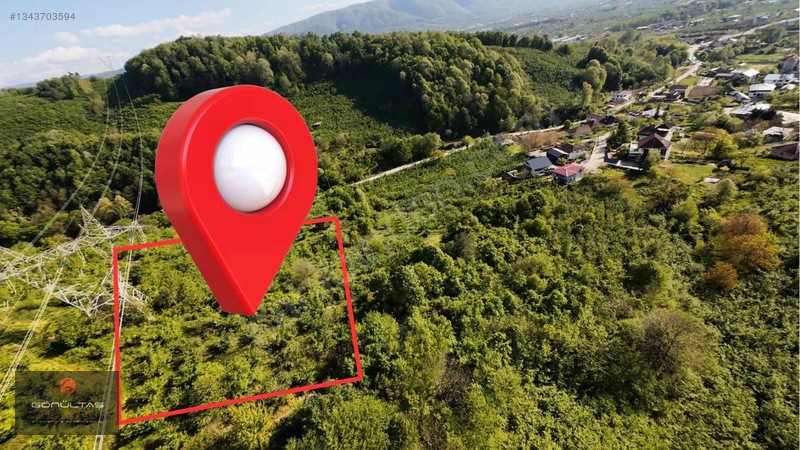 Şehir Manzaralı Düzce Muncurluda 2.630m2 Yatırımlık Hobi Bahçesi — fotoğraf 3