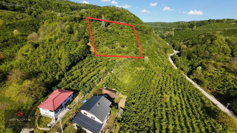 Şehir Manzaralı Düzce Muncurluda 2.630m2 Yatırımlık Hobi Bahçesi — fotoğraf 4
