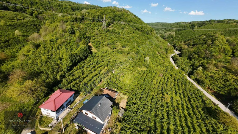 Şehir Manzaralı Düzce Muncurluda 2.630m2 Yatırımlık Hobi Bahçesi — fotoğraf 5