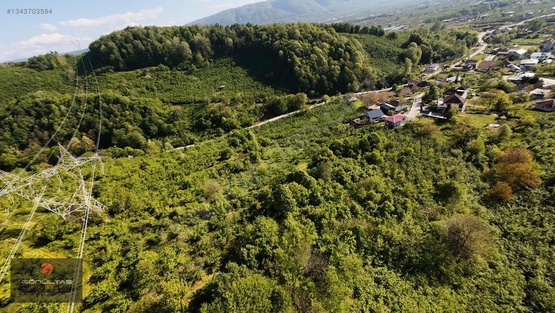 Şehir Manzaralı Düzce Muncurluda 2.630m2 Yatırımlık Hobi Bahçesi — fotoğraf 6