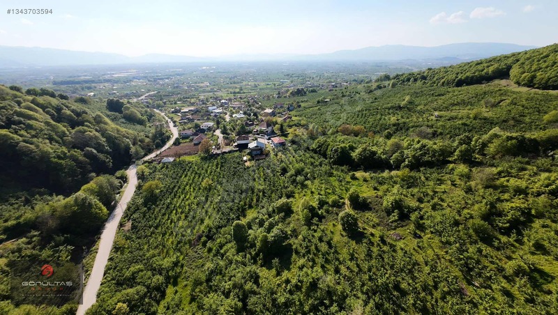 Şehir Manzaralı Düzce Muncurluda 2.630m2 Yatırımlık Hobi Bahçesi — fotoğraf 7