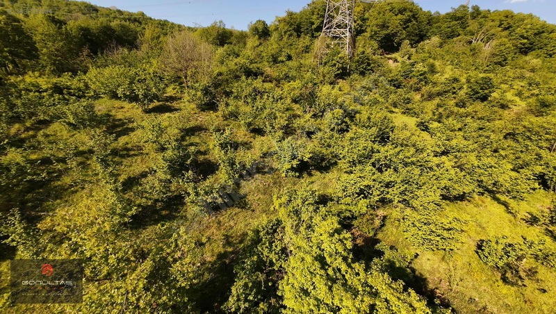 Şehir Manzaralı Düzce Muncurluda 2.630m2 Yatırımlık Hobi Bahçesi — fotoğraf 8