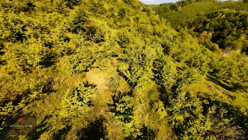 Şehir Manzaralı Düzce Muncurluda 2.630m2 Yatırımlık Hobi Bahçesi — fotoğraf 9