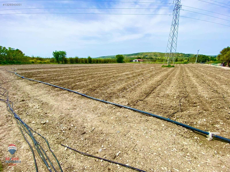 Çeşme'de Denize 5 Dakika Mesafede 3.900m² Tarla — fotoğraf 8