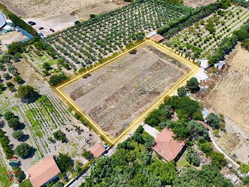 Çeşme'de Denize 5 Dakika Mesafede 3.900m² Tarla — fotoğraf 13