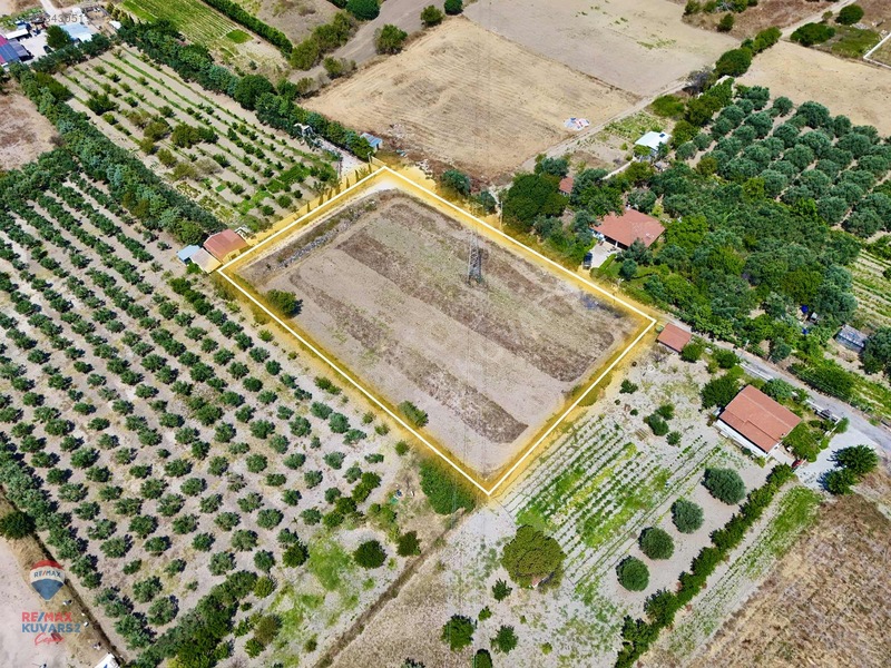 Çeşme'de Denize 5 Dakika Mesafede 3.900m² Tarla — fotoğraf 14