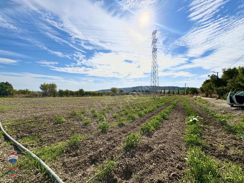 Çeşme'de Denize 5 Dakika Mesafede 3.900m² Tarla — fotoğraf 28